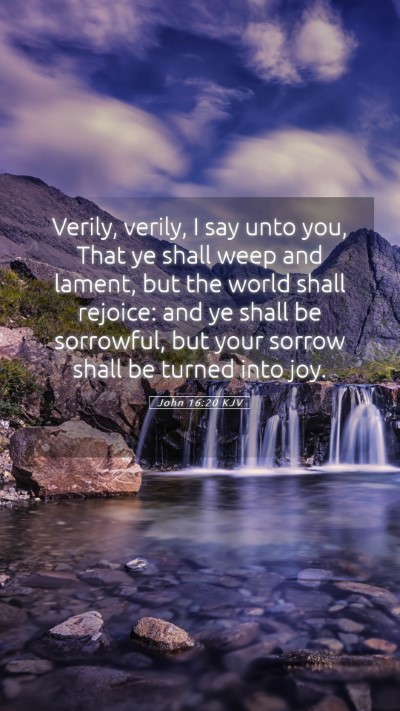 Picture 05 - John 16:20 KJV Mobile Phone Wallpaper - Verily, verily, I say unto you, That ye shall - Mobile Bible Verse Wallpaper