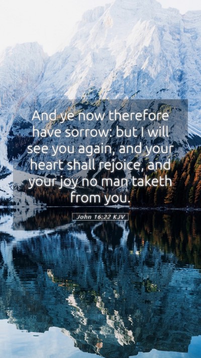 Picture 05 - John 16:22 KJV Mobile Phone Wallpaper - And ye now therefore have sorrow: but I will see - Mobile Bible Verse Wallpaper