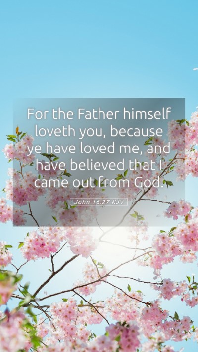 Picture 05 - John 16:27 KJV Mobile Phone Wallpaper - For the Father himself loveth you, because ye - Mobile Bible Verse Wallpaper
