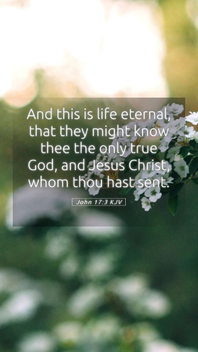 Picture 05 - John 17:3 KJV Mobile Phone Wallpaper - And this is life eternal, that they might know - Mobile Bible Verse Wallpaper