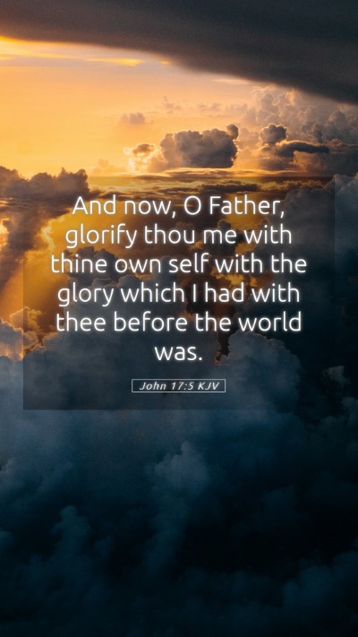 Picture 05 - John 17:5 KJV Mobile Phone Wallpaper - And now, O Father, glorify thou me with thine own - Mobile Bible Verse Wallpaper