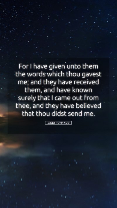 Picture 05 - John 17:8 KJV Mobile Phone Wallpaper - For I have given unto them the words which thou - Mobile Bible Verse Wallpaper