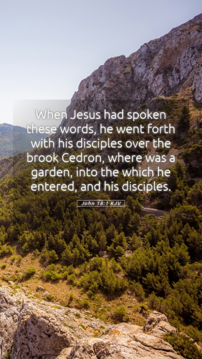 Picture 05 - John 18:1 KJV Mobile Phone Wallpaper - When Jesus had spoken these words, he went forth - Mobile Bible Verse Wallpaper