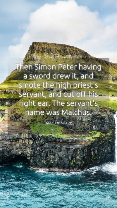 Picture 05 - John 18:10 KJV Mobile Phone Wallpaper - Then Simon Peter having a sword drew it, and - Mobile Bible Verse Wallpaper