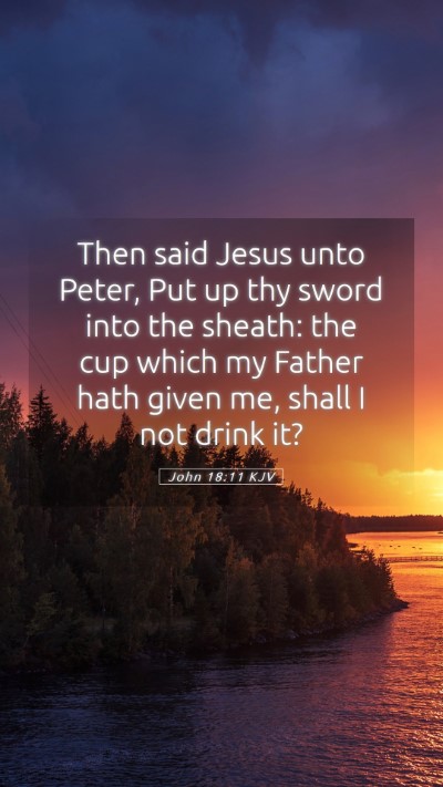 Picture 05 - John 18:11 KJV Mobile Phone Wallpaper - Then said Jesus unto Peter, Put up thy sword into - Mobile Bible Verse Wallpaper