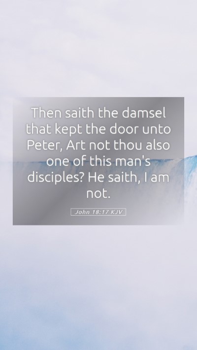 Picture 05 - John 18:17 KJV Mobile Phone Wallpaper - Then saith the damsel that kept the door unto - Mobile Bible Verse Wallpaper