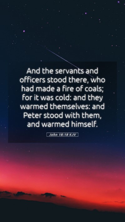 Picture 05 - John 18:18 KJV Mobile Phone Wallpaper - And the servants and officers stood there, who - Mobile Bible Verse Wallpaper