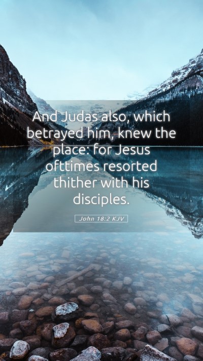 Picture 05 - John 18:2 KJV Mobile Phone Wallpaper - And Judas also, which betrayed him, knew the - Mobile Bible Verse Wallpaper