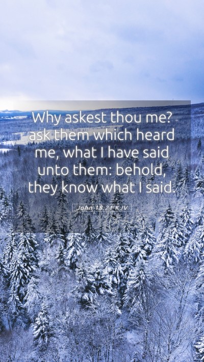 Picture 05 - John 18:21 KJV Mobile Phone Wallpaper - Why askest thou me? ask them which heard me, what - Mobile Bible Verse Wallpaper