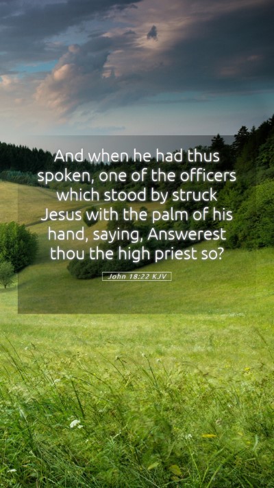 Picture 05 - John 18:22 KJV Mobile Phone Wallpaper - And when he had thus spoken, one of the officers - Mobile Bible Verse Wallpaper