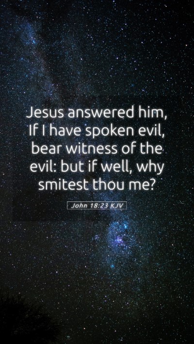 Picture 05 - John 18:23 KJV Mobile Phone Wallpaper - Jesus answered him, If I have spoken evil, bear - Mobile Bible Verse Wallpaper