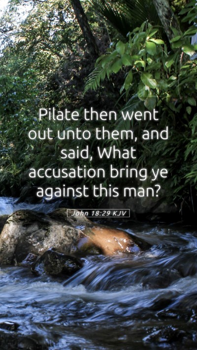 Picture 05 - John 18:29 KJV Mobile Phone Wallpaper - Pilate then went out unto them, and said, What - Mobile Bible Verse Wallpaper