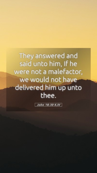 Picture 05 - John 18:30 KJV Mobile Phone Wallpaper - They answered and said unto him, If he were not a - Mobile Bible Verse Wallpaper
