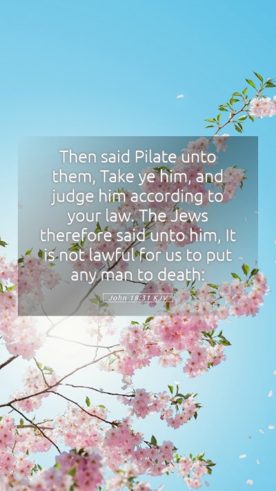 Picture 05 - John 18:31 KJV Mobile Phone Wallpaper - Then said Pilate unto them, Take ye him, and - Mobile Bible Verse Wallpaper