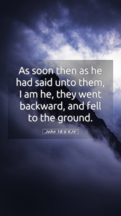 Picture 05 - John 18:6 KJV Mobile Phone Wallpaper - As soon then as he had said unto them, I am he, - Mobile Bible Verse Wallpaper