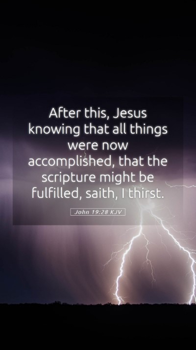 Picture 05 - John 19:28 KJV Mobile Phone Wallpaper - After this, Jesus knowing that all things were - Mobile Bible Verse Wallpaper