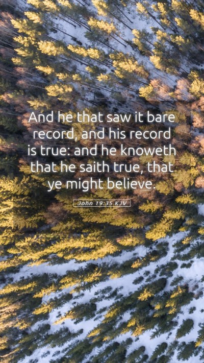 Picture 05 - John 19:35 KJV Mobile Phone Wallpaper - And he that saw it bare record, and his record is - Mobile Bible Verse Wallpaper