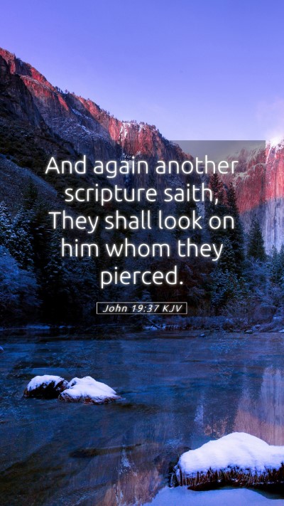 Picture 05 - John 19:37 KJV Mobile Phone Wallpaper - And again another scripture saith, They shall - Mobile Bible Verse Wallpaper