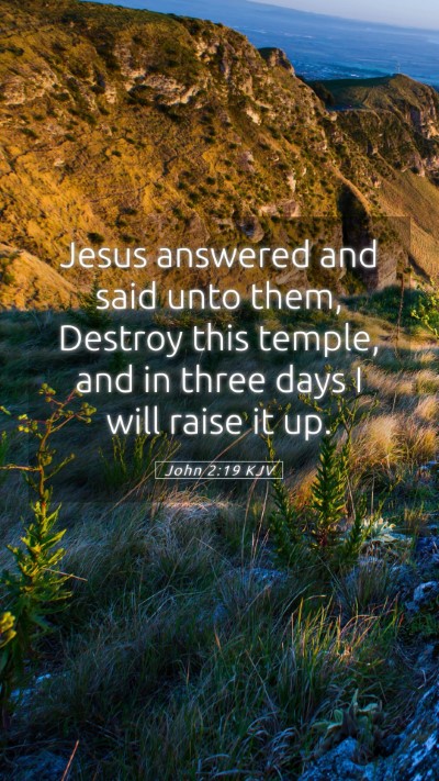 Picture 05 - John 2:19 KJV Mobile Phone Wallpaper - Jesus answered and said unto them, Destroy this - Mobile Bible Verse Wallpaper