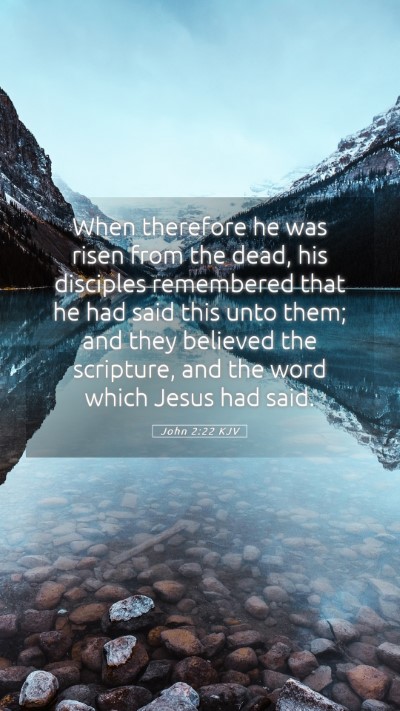 Picture 05 - John 2:22 KJV Mobile Phone Wallpaper - When therefore he was risen from the dead, his - Mobile Bible Verse Wallpaper