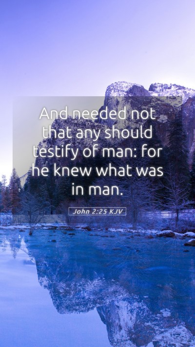 Picture 05 - John 2:25 KJV Mobile Phone Wallpaper - And needed not that any should testify of man: - Mobile Bible Verse Wallpaper