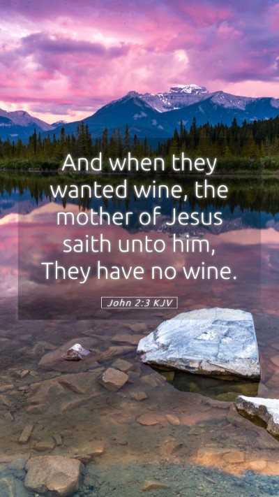 Picture 05 - John 2:3 KJV Mobile Phone Wallpaper - And when they wanted wine, the mother of Jesus - Mobile Bible Verse Wallpaper