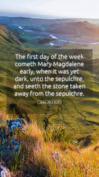 Picture 05 - John 20:1 KJV Mobile Phone Wallpaper - The first day of the week cometh Mary Magdalene - Mobile Bible Verse Wallpaper