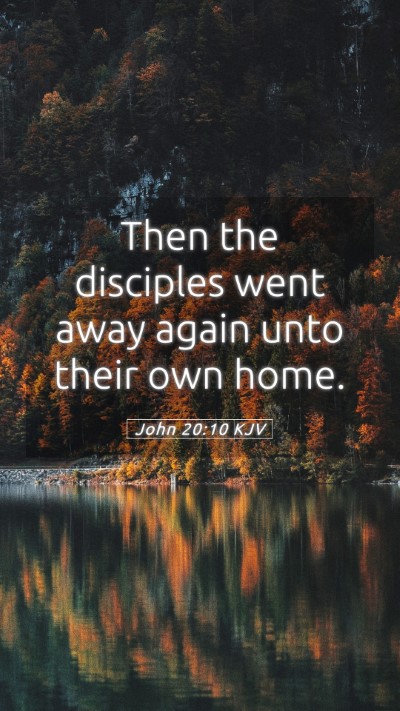 Picture 05 - John 20:10 KJV Mobile Phone Wallpaper - Then the disciples went away again unto their own - Mobile Bible Verse Wallpaper