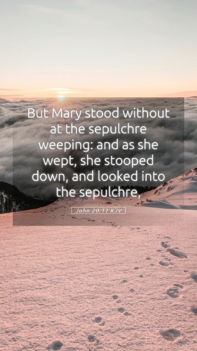 Picture 05 - John 20:11 KJV Mobile Phone Wallpaper - But Mary stood without at the sepulchre weeping: - Mobile Bible Verse Wallpaper