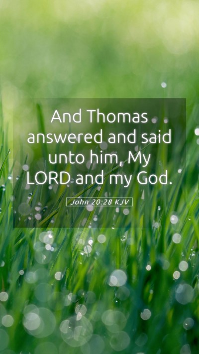 Picture 05 - John 20:28 KJV Mobile Phone Wallpaper - And Thomas answered and said unto him, My LORD - Mobile Bible Verse Wallpaper