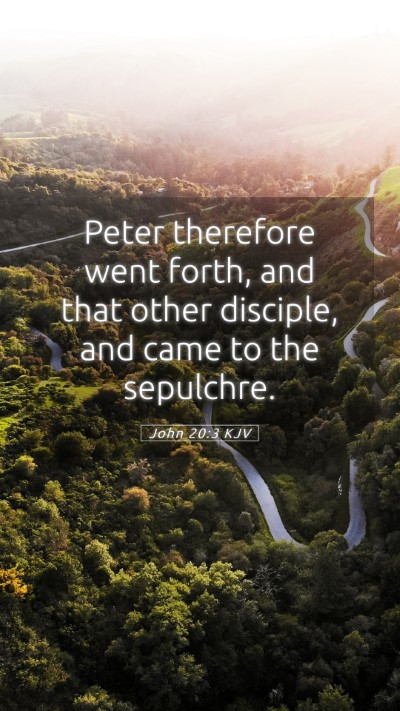 Picture 05 - John 20:3 KJV Mobile Phone Wallpaper - Peter therefore went forth, and that other - Mobile Bible Verse Wallpaper