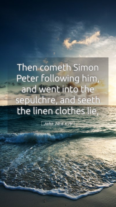 Picture 05 - John 20:6 KJV Mobile Phone Wallpaper - Then cometh Simon Peter following him, and went - Mobile Bible Verse Wallpaper