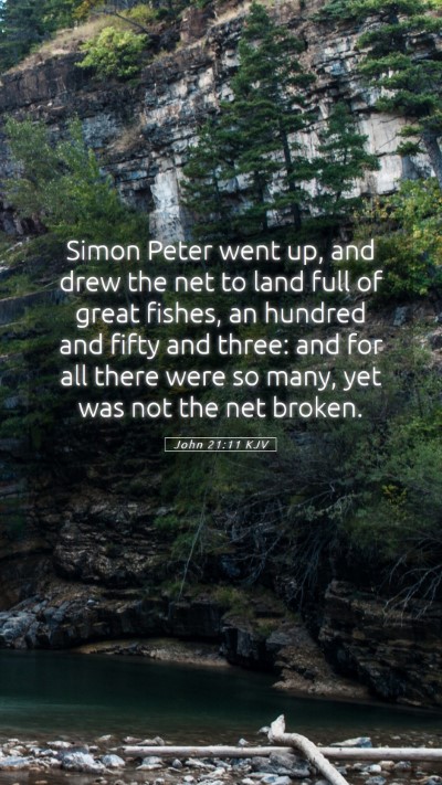 Picture 05 - John 21:11 KJV Mobile Phone Wallpaper - Simon Peter went up, and drew the net to land - Mobile Bible Verse Wallpaper