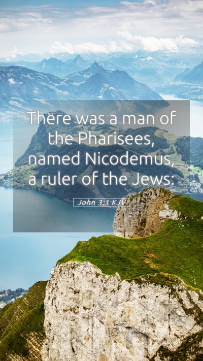 Picture 05 - John 3:1 KJV Mobile Phone Wallpaper - There was a man of the Pharisees, named - Mobile Bible Verse Wallpaper