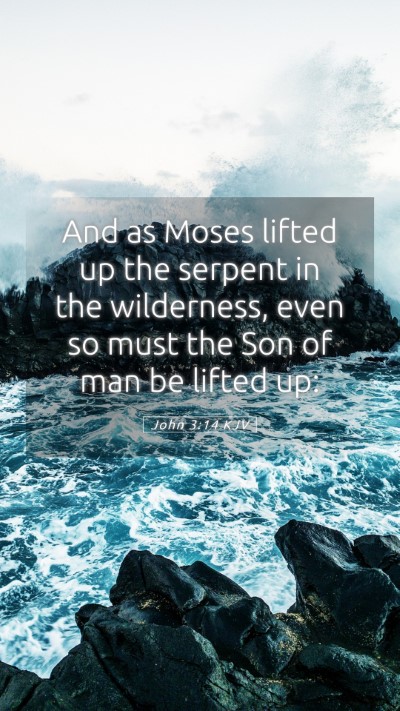 Picture 05 - John 3:14 KJV Mobile Phone Wallpaper - And as Moses lifted up the serpent in the - Mobile Bible Verse Wallpaper
