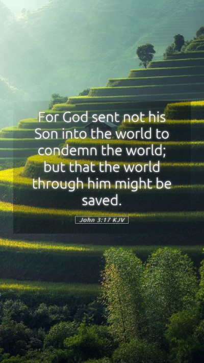 Picture 05 - John 3:17 KJV Mobile Phone Wallpaper - For God sent not his Son into the world to - Mobile Bible Verse Wallpaper