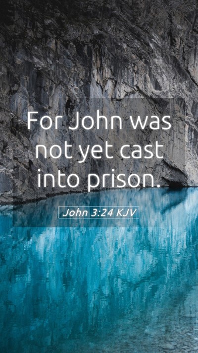 Picture 05 - John 3:24 KJV Mobile Phone Wallpaper - For John was not yet cast into - Mobile Bible Verse Wallpaper