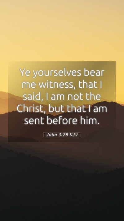 Picture 05 - John 3:28 KJV Mobile Phone Wallpaper - Ye yourselves bear me witness, that I said, I am - Mobile Bible Verse Wallpaper