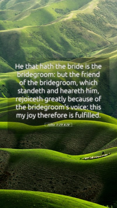 Picture 05 - John 3:29 KJV Mobile Phone Wallpaper - He that hath the bride is the bridegroom: but the - Mobile Bible Verse Wallpaper