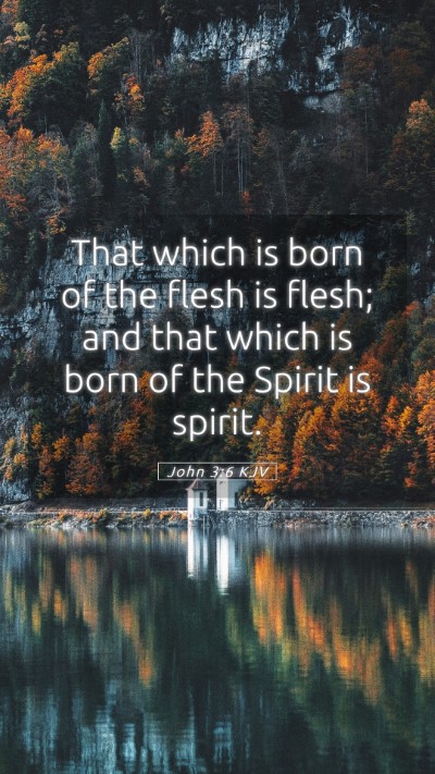 Picture 05 - John 3:6 KJV Mobile Phone Wallpaper - That which is born of the flesh is flesh; and - Mobile Bible Verse Wallpaper
