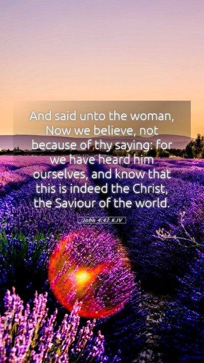 Picture 05 - John 4:42 KJV Mobile Phone Wallpaper - And said unto the woman, Now we believe, not - Mobile Bible Verse Wallpaper