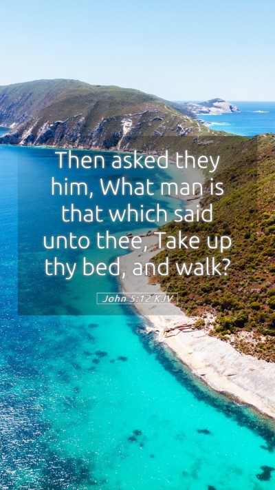 Picture 05 - John 5:12 KJV Mobile Phone Wallpaper - Then asked they him, What man is that which said - Mobile Bible Verse Wallpaper