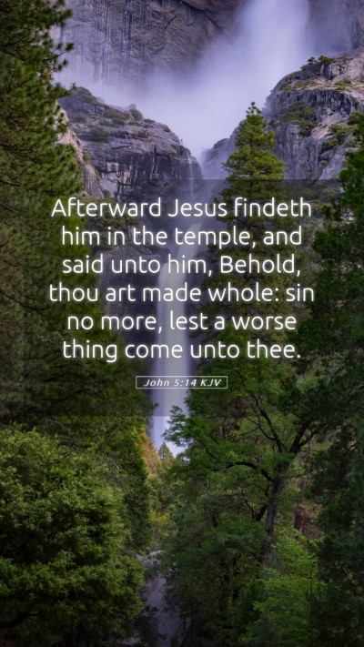 Picture 05 - John 5:14 KJV Mobile Phone Wallpaper - Afterward Jesus findeth him in the temple, and - Mobile Bible Verse Wallpaper