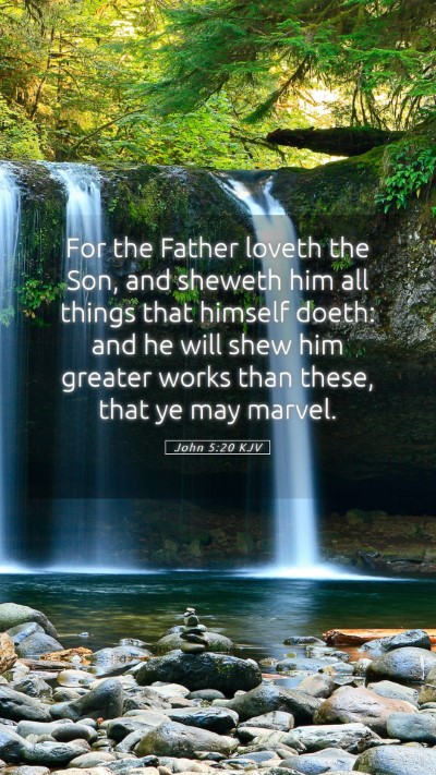 Picture 05 - John 5:20 KJV Mobile Phone Wallpaper - For the Father loveth the Son, and sheweth him - Mobile Bible Verse Wallpaper