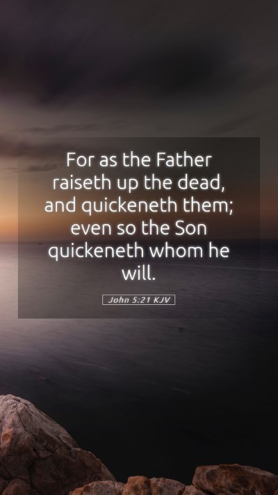 Picture 05 - John 5:21 KJV Mobile Phone Wallpaper - For as the Father raiseth up the dead, and - Mobile Bible Verse Wallpaper