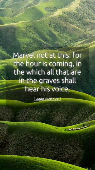 Picture 05 - John 5:28 KJV Mobile Phone Wallpaper - Marvel not at this: for the hour is coming, in - Mobile Bible Verse Wallpaper