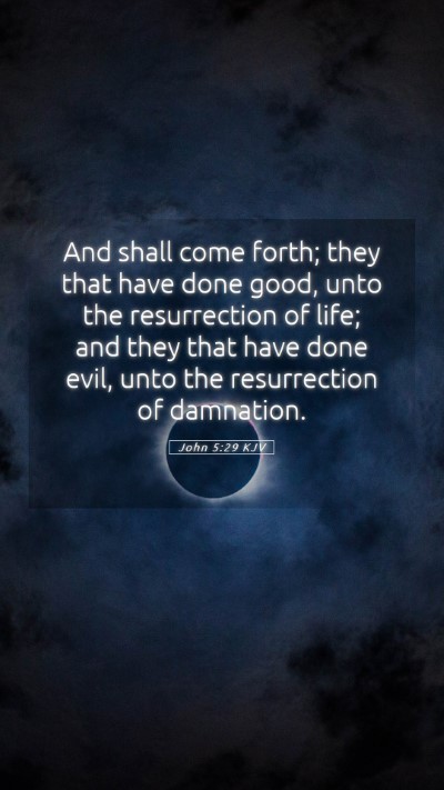 Picture 05 - John 5:29 KJV Mobile Phone Wallpaper - And shall come forth; they that have done good, - Mobile Bible Verse Wallpaper