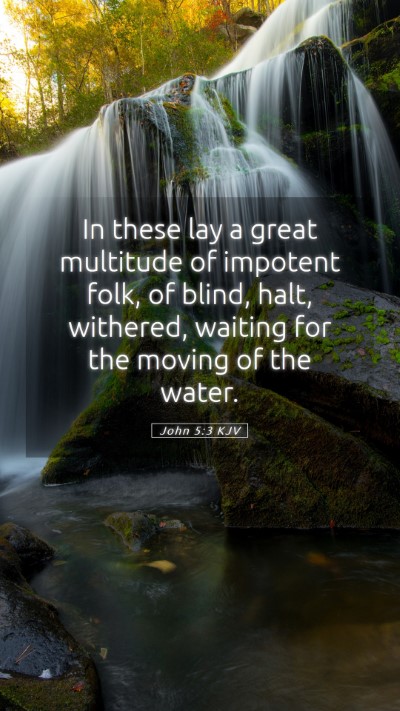 Picture 05 - John 5:3 KJV Mobile Phone Wallpaper - In these lay a great multitude of impotent folk, - Mobile Bible Verse Wallpaper