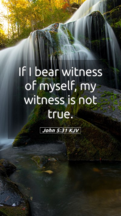Picture 05 - John 5:31 KJV Mobile Phone Wallpaper - If I bear witness of myself, my witness is not - Mobile Bible Verse Wallpaper