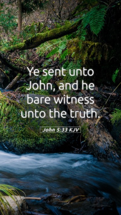 Picture 05 - John 5:33 KJV Mobile Phone Wallpaper - Ye sent unto John, and he bare witness unto the - Mobile Bible Verse Wallpaper